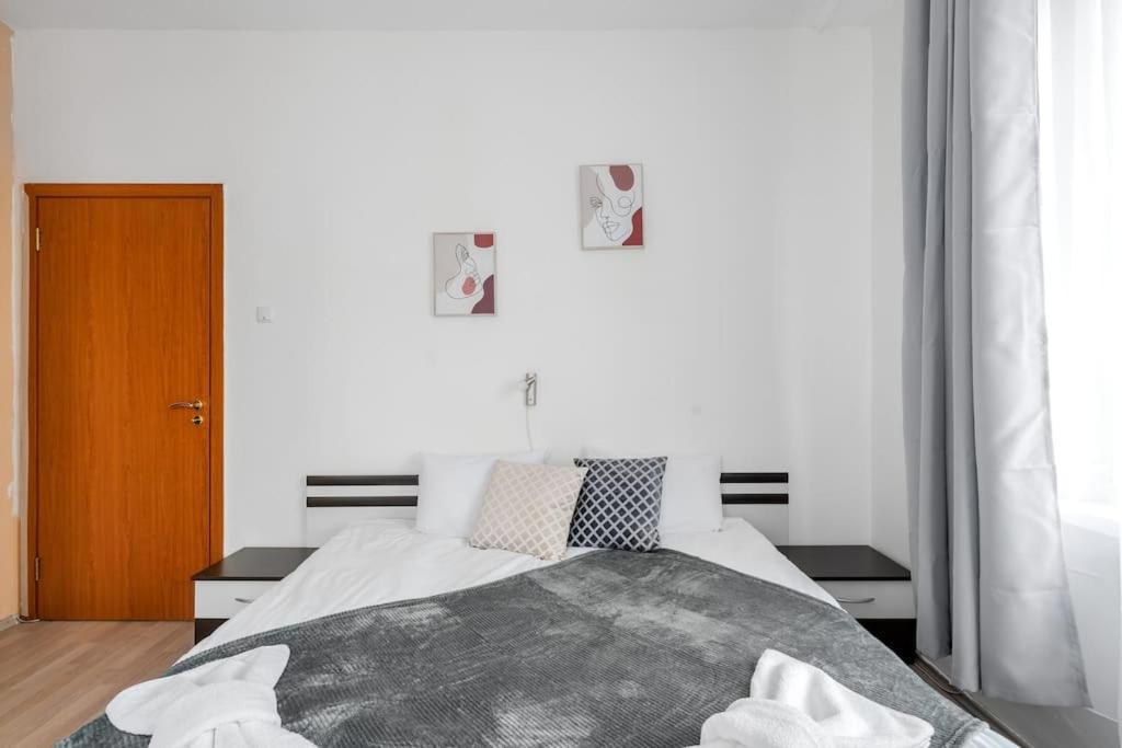 Spacious 3Bd Central Apartment Σόφια Εξωτερικό φωτογραφία